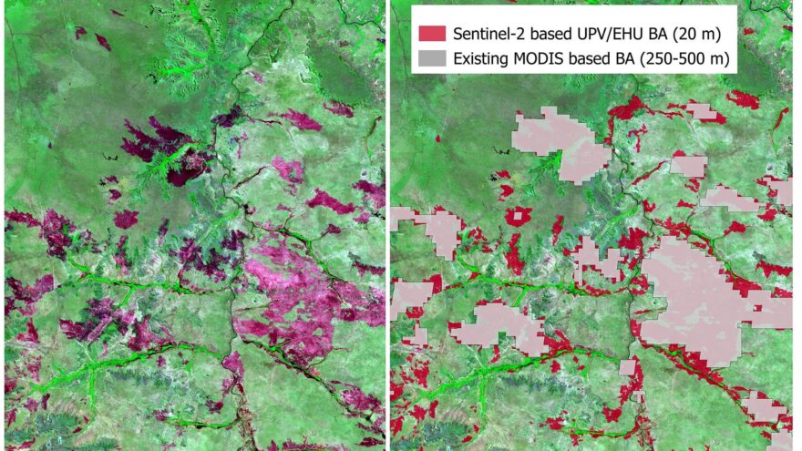 La UPV/EHU propone un algoritmo para cartografiar a escala global las áreas quemadas