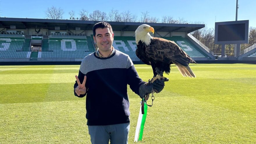 Conocemos al águila Fortuna, símbolo vivo del Ludogorets