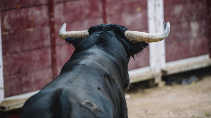 Karrantza dice «no» a las corridas de toros