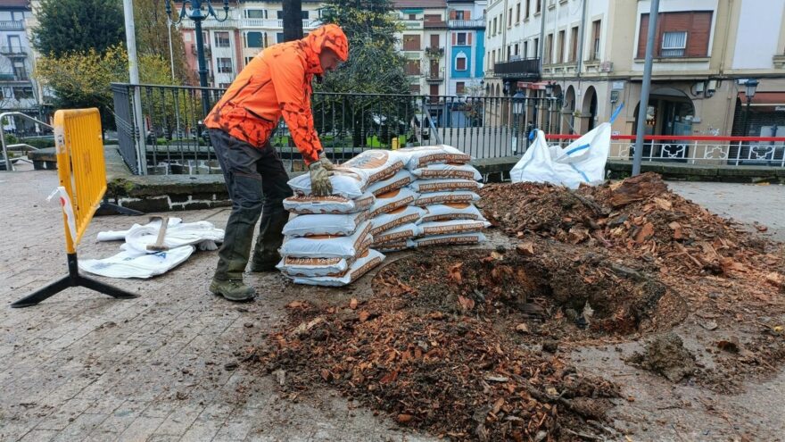 Gernika-Lumo invierte más de 12.000 euros para restituir su arbolado urbano