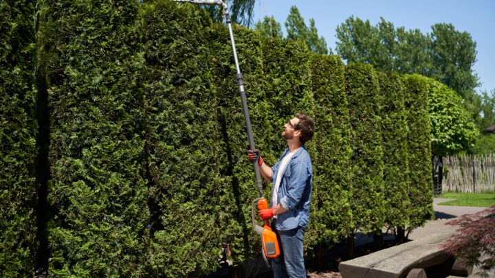 Los setos: mucho más que una simple división en tu jardín