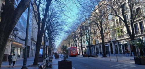 Bilbobus pondrá en marcha su horario de verano a partir del 1 de julio, con ajustes en las frecuencias de algunas líneas.